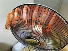“Thanh niên” mới lớp 8 tự tay nấu trăm mâm cơm ngon, hội các chị “gái đoảng” MXH choáng váng