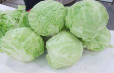 Xào bắp cải, thêm một muỗng này vào, rau giòn ngon như nhà hàng ai cũng kinh ngạc