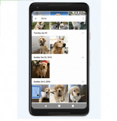 Google Photos đã có thể nhận diện thú nuôi, tìm kiếm theo giống nòi