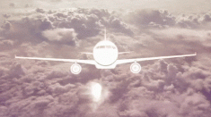 Máy bay “không cửa sổ” nhìn xuyên thấu, chống chỉ định người sợ độ cao