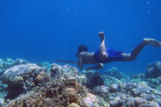 Những ‘cư dân biển’ này là những con người đầu tiên có bộ gene được thay đổi để bơi lặn