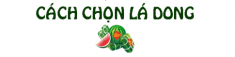 Bỏ túi 4 mẹo gói bánh chưng luôn xanh và ngon