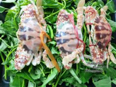 Canh ghẹ nấu rau muống nóng hổi ngọt lịm, cả nhà húp xì xụp