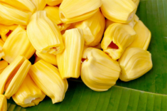 Có nên kiêng ăn mít trong ngày nắng nóng?