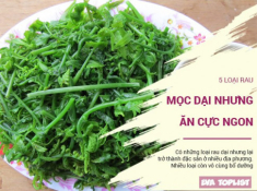 Điểm danh 5 quán phở Hà Nội từng được tạp chí nước ngoài khen nức nở