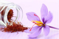 Đời không như mơ, tưởng nhụy hoa nghệ tây là báu vật làm đẹp, ai dè tiền mất tật mang…