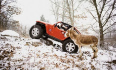  Jeep Lower Forty concept thi leo núi với lừa 