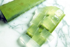 Mỗi sáng ăn 1 thìa nha đam da cứ thế căng bóng, trắng hồng như gái 18