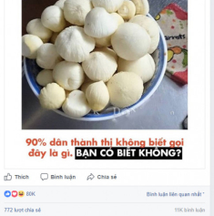 Món ăn được khẳng định “90% người thành thị không biết”, ai ngờ dân mạng trả lời rào rào