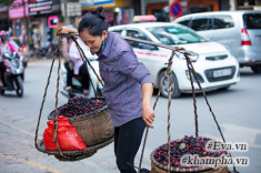 Mùa dâu tằm về chọn quả ngon ngâm nước uống thôi!