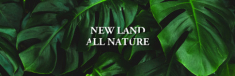 Newland All Nature: Khi thiên nhiên là nguồn cội của mọi vẻ đẹp