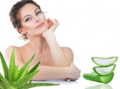 Nha đam và những tác dụng thần kỳ với làm đẹp và sức khỏe
