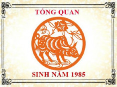 Sinh năm 1985 hợp màu gì khi xây nhà để năm 2020 tiền bạc rủng rỉnh quanh năm?