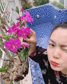 Bỏ nhà giữa lòng Thủ đô, Nguyễn Ngọc Anh chuyển ra ngoại thành tự ươm cây, trồng hoa