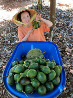 Về quê tránh dịch, Lý Nhã Kỳ đẩy xe rùa đi thu hoạch hoa quả trong nông trại 50 hecta