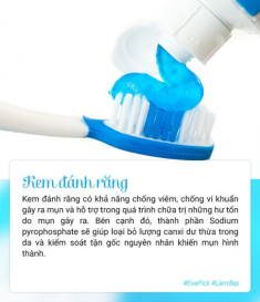 6 nguyên liệu giúp mụn chỉ sau một đêm đã lặn mất tăm, nàng cứ thử sẽ biết ngay
