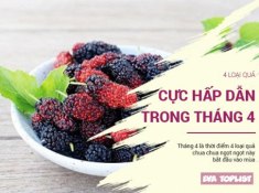 5 món ăn vặt giá chưa đến 30 nghìn nhưng dân Sài Gòn ai cũng thích