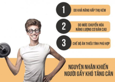 Cách tăng cân nhanh cho người gầy an toàn hiệu quả tại nhà