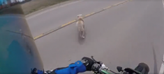 [Clip] chú chó qua đường không signal gặp nạn với YZF R1