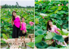 Mẹ 3 con Hải Phòng mê sen, gợi ý thực đơn toàn món từ sen ngon bổ ai cũng thích