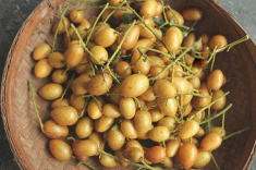 Quất hồng bì sắp hết mùa, nhanh tay làm mứt để nhâm nhi hay trị ho đều tốt