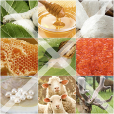 Hiện tượng mỹ phẩm thuần chay Cocoon tại Việt Nam
