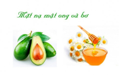 Top 15 mặt nạ bơ giúp trị mụn làm đẹp da tự nhiên hiệu quả nhất