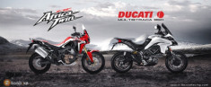 So sánh Honda CRF1000L Africa Twin và Ducati Multistrada 950