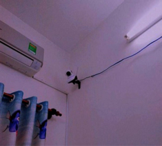 Lắp camera theo dõi con trai tuổi dậy thì, mẹ chết lặng với hành động mỗi đêm