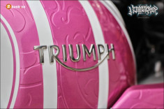 Triumph thruxton r 1200 độ nữ tính cùng màu hồng kitty