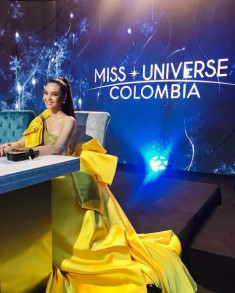 Tuyệt sắc giai nhân Miss Universe 2018 bị chê tơi bời vì chọn nhầm trang phục lộ “chân cột đình”