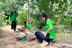 Lột hết quần áo đắt đỏ, dàn Hoa-Á hậu làm váy áo từ lá cây, hoa vườn đẹp đỉnh