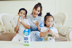 Sữa tươi nguyên chất từ Úc và New Zealand giúp con các sao khỏe mạnh, cao lớn
