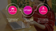 Tạo thêm thu nhập hiệu quả từ kinh doanh online với PingGo