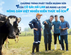 Thương hiệu sữa Cô Gái Hà Lan phát triển vững chắc với mô hình đại gia đình nông dân