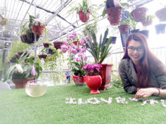Ghé thăm vườn lan xanh mát của cô giáo xinh đẹp Thoa Phùng