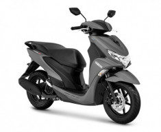 FreeGO ABS 2019 Mẫu xe tay ga 125cc hoàn toàn mới vừa được ra mắt