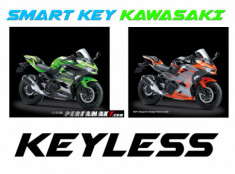 Kawasaki Ninja 250 FI Smart Key với có giá từ 113 triệu VND