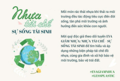 9X Tiền Giang trồng cây trong chai nhựa bỏ đi, không tốn 1 xu có vườn đẹp như tiền triệu