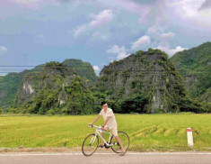 Dành 3 tháng nghỉ dịch, chàng trai hô biến ban công thành hồ sen nở rộ tại nhà