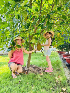 Nghỉ dịch Ốc Thanh Vân đưa các con ra vườn, nhà Lý Hải về nông trại cuốc đất trồng rau