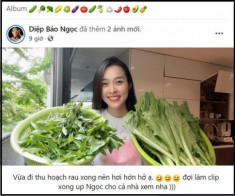 Nhà Celeb: Diệp Bảo Ngọc trồng rau trên sân thượng như nhà ở quê, thu hoạch cả rổ