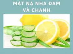 10 Cách trị mụn bằng nha đam đúng cách để có làn da trắng sáng mịn màng