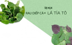 7 Cách trị mụn bằng rau diếp cá hiệu quả giúp da thêm sáng mịn hồng hào