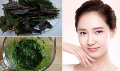 9 Cách trị mụn bằng rau diếp cá tại nhà an toàn không tốn kém