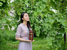 Chăm tóc khỏe đẹp với dầu gội dược liệu lành tính - tóc mượt mà, chắc khỏe
