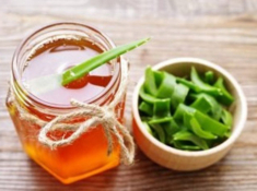 Chẳng cần đi spa, nàng vẫn trẻ trung, xinh xắn nhờ dưỡng da bằng nha đam ngay tại nhà