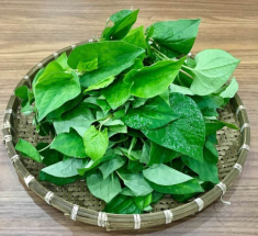 Đánh bay thâm, mụn mà chẳng tốn mấy đồng với những công thức mặt nạ diếp cá siêu đơn giản