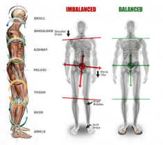 Đứng hay ngồi sai cách cũng làm dáng xiêu vẹo, nàng chớ lo bởi tập gym có thể cải thiện
