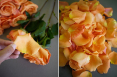 Hoa đào, hoa hồng sau Tết và hậu Valentine, nàng hãy dùng “nâng cấp” nhan sắc thay vì bỏ đi